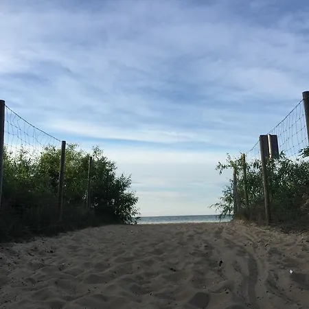 Nadmorski Gold グダニスク